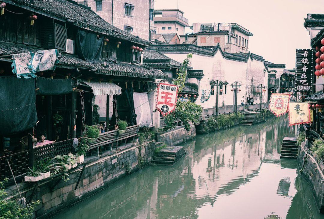 萌宠爱享受:鱼唇的人类,还不快快过来服侍主子?
